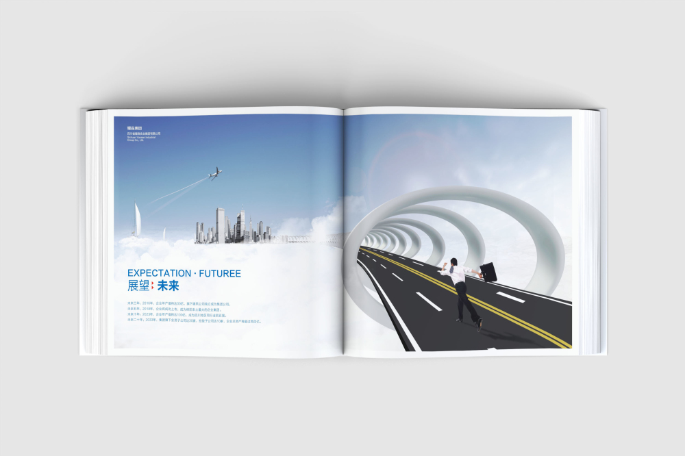 寿阳县画册设计